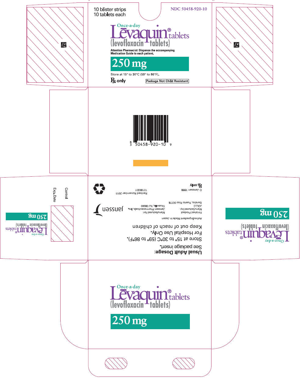 PRINCIPAL DISPLAY PANEL - 250 mg Tablet Carton