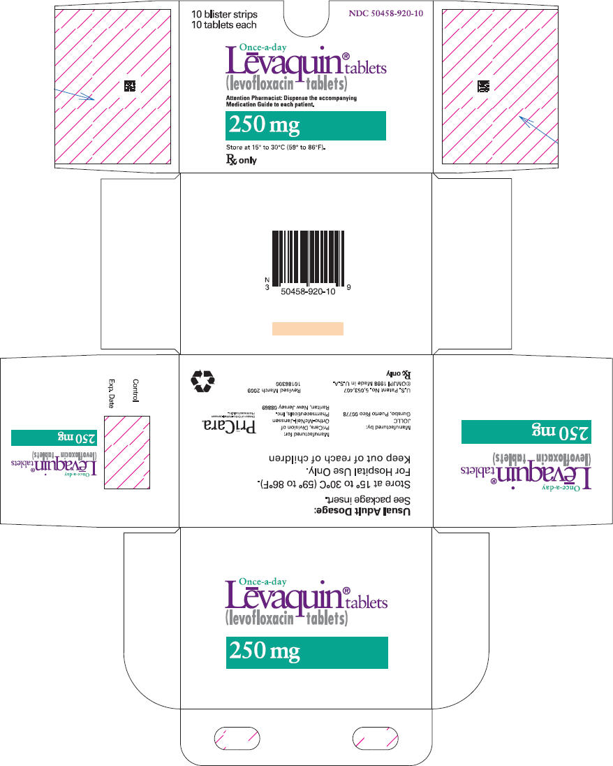 PRINCIPAL DISPLAY PANEL - 250 mg Tablet Carton