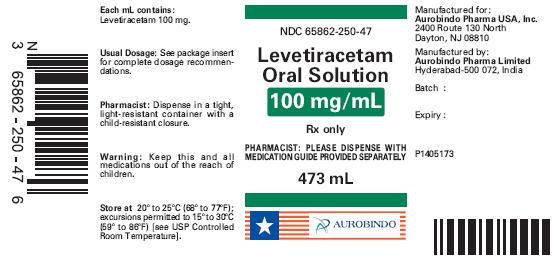 PACKAGE LABEL-PRINCIPAL DISPLAY PANEL - 100 mg/mL (473 mL Bottle)