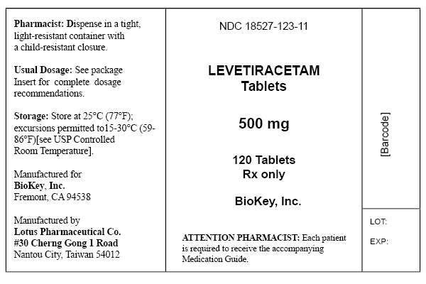 PRINCIPAL DISPLAY PANEL - 500 mg Tablets