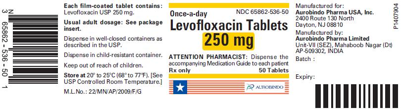 PACKAGE LABEL-PRINCIPAL DISPLAY PANEL - 250 mg (50 Tablet Bottle)