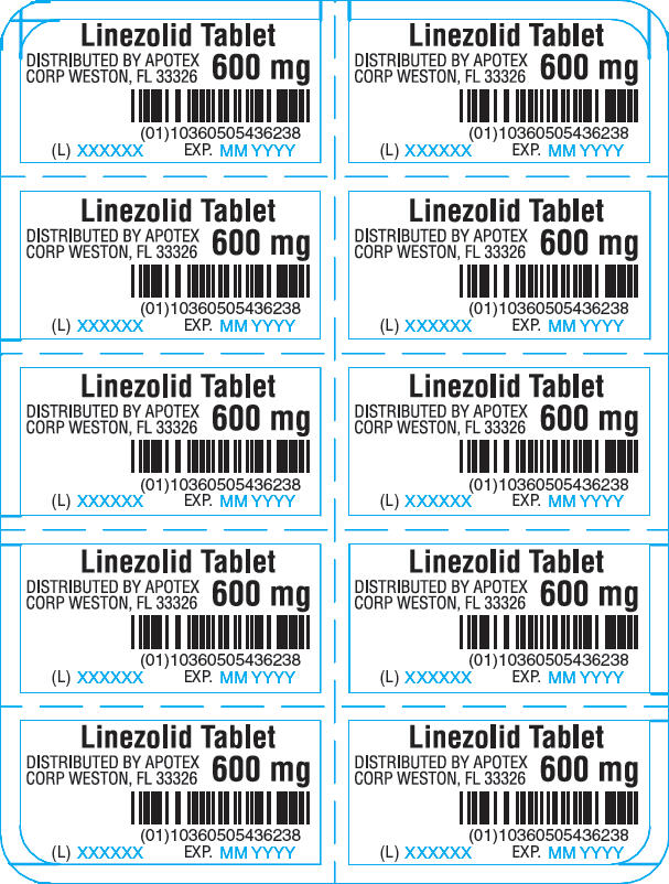 PRINCIPAL DISPLAY PANEL - 600 mg Tablet Blister Pack