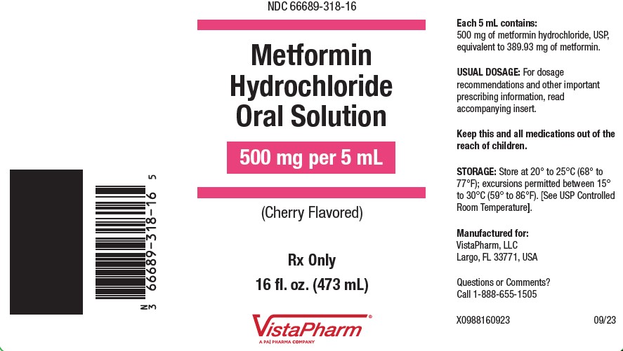 Metformin Hydrochloride Oral Solution 500 mg/5mL
