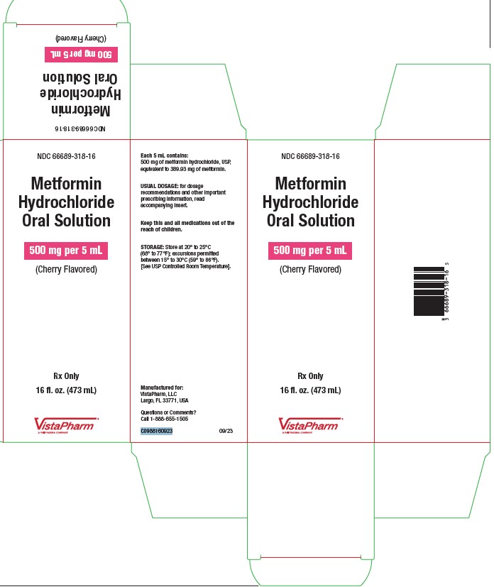 Metformin Hydrochloride Oral Solution, 500 mg/5 mL