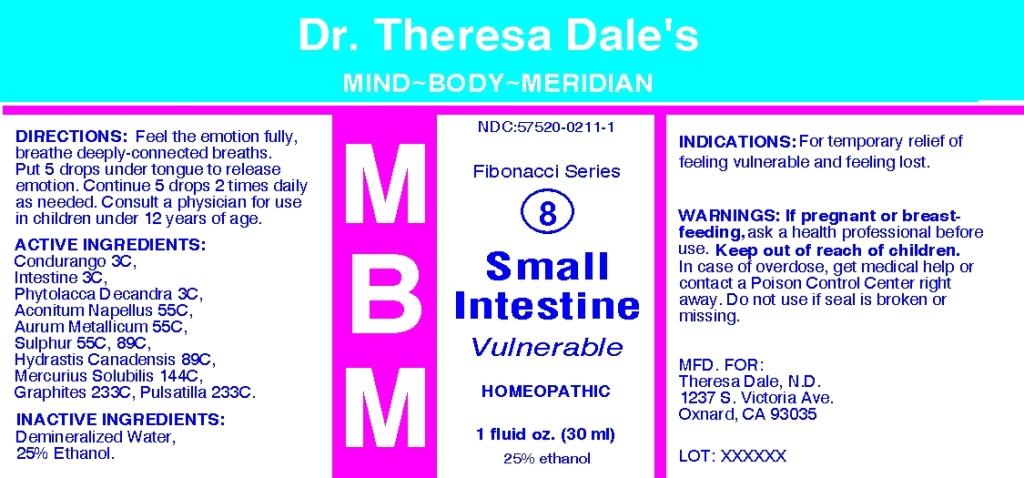 MBM 8 Small Intestine