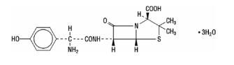amoxicillin structural formula 