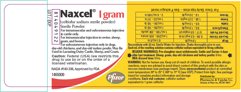 PRINCIPAL DISPLAY PANEL - 1 gram Vial Label