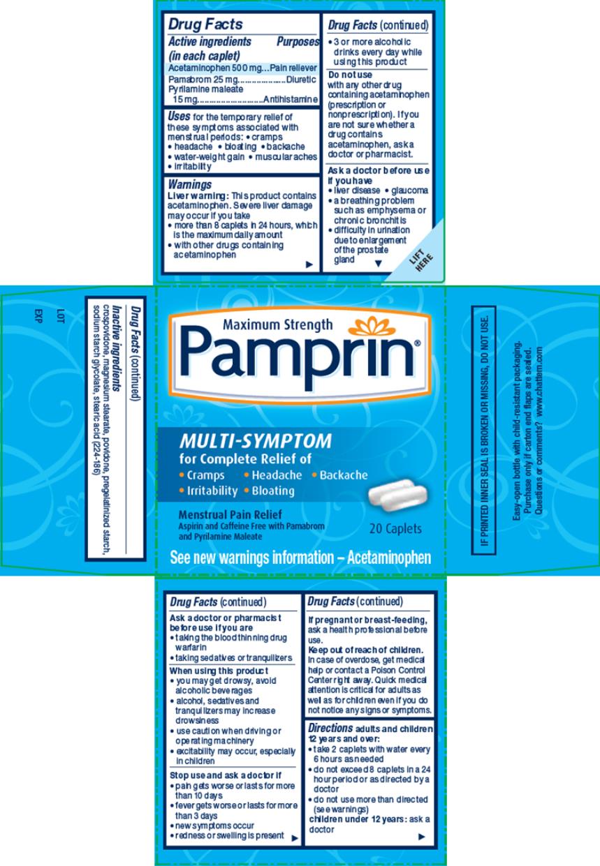 PRINCIPAL DISPLAY PANEL
Pamprin Multisymptom Menstrual Pain Relief
