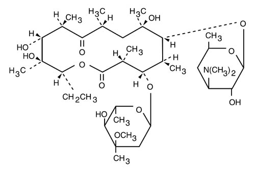 Structural formula for erythromycin