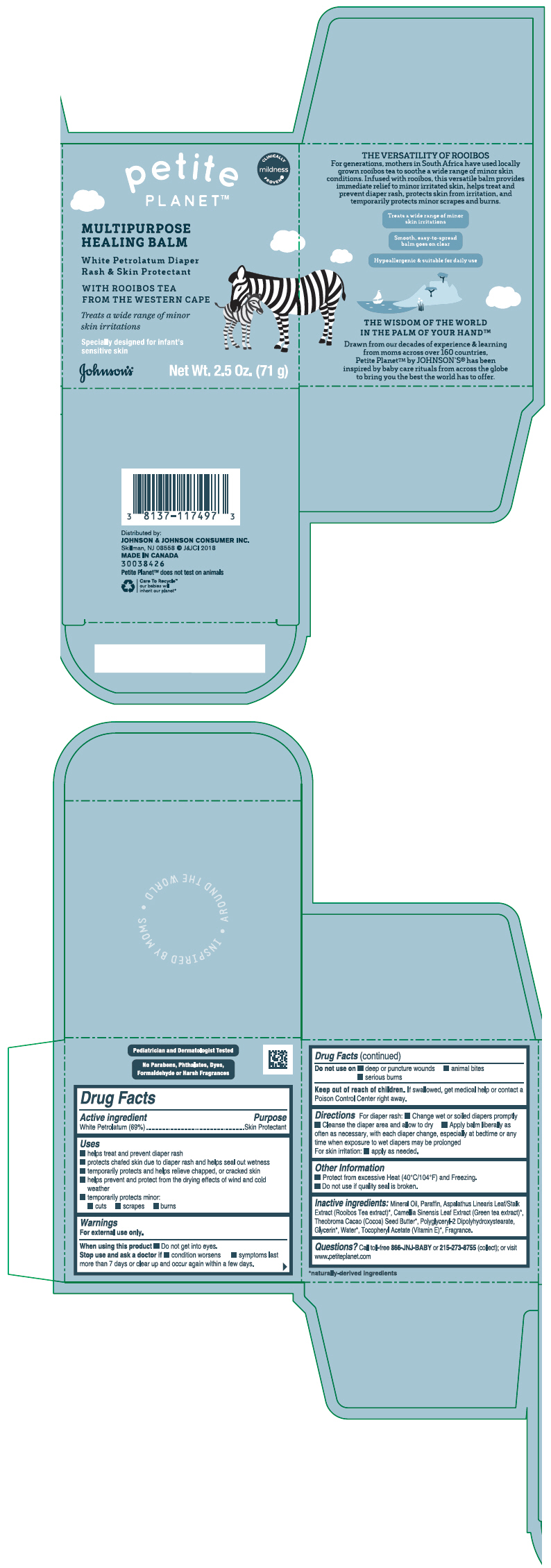PRINCIPAL DISPLAY PANEL - 71 g Jar Carton