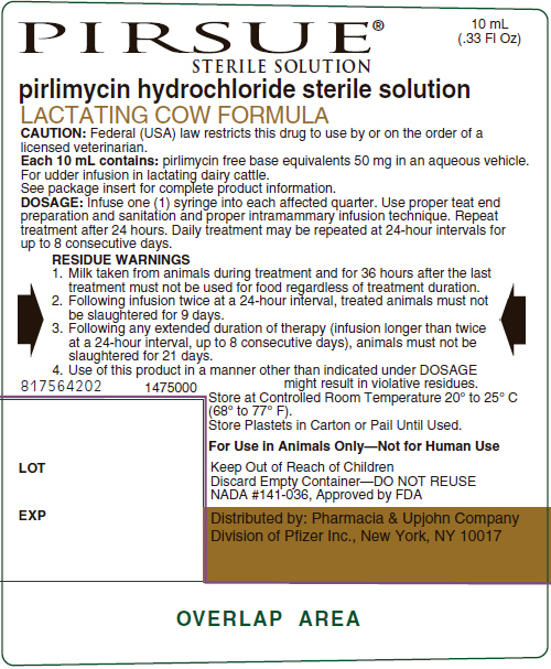 Principal Display Panel - 10 mL Syringe Label