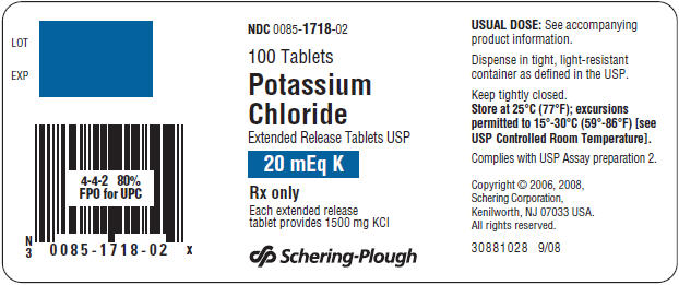 PRINCIPAL DISPLAY PANEL - 100 20 mEq Tablet Bottle Label