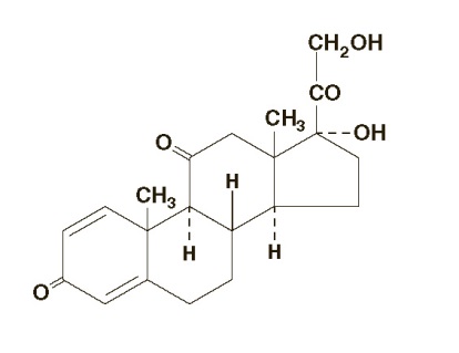 prednisone chemical structure.jpg