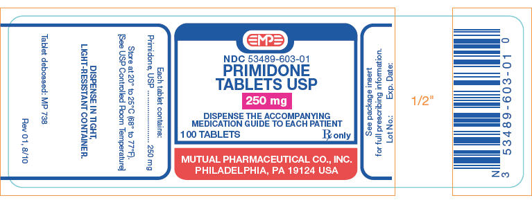 PRINCIPAL DISPLAY PANEL - 250 mg Tablet Bottle Label