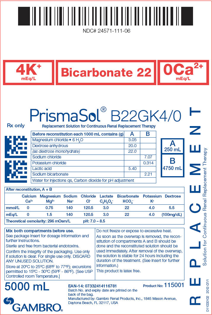PRINCIPAL DISPLAY PANEL - B22GK4/0 Bag Label