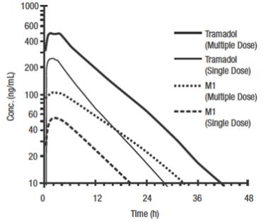 Figure 1: Mean Tramadol and M1 Plasma Concentration Profiles after a Single 100 mg Oral Dose and after Twenty-Nine 100 mg Oral Doses of Tramadol HCl given q.i.d.