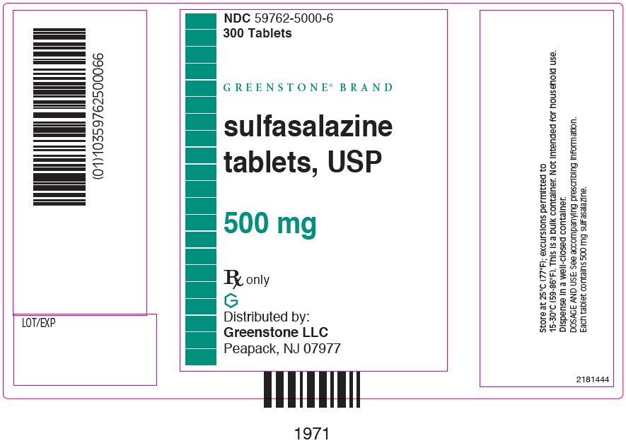 PRINCIPAL DISPLAY PANEL - 500 mg Tablet Bottle Label - 59762-5000-6