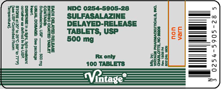 This is an image of the Principal Display Panel for the Sulfasalazine Delayed-Release Tablets, USP 500mg, 100 count.