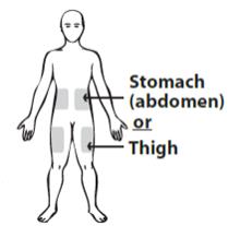 Stomach (abdomen) or Thigh