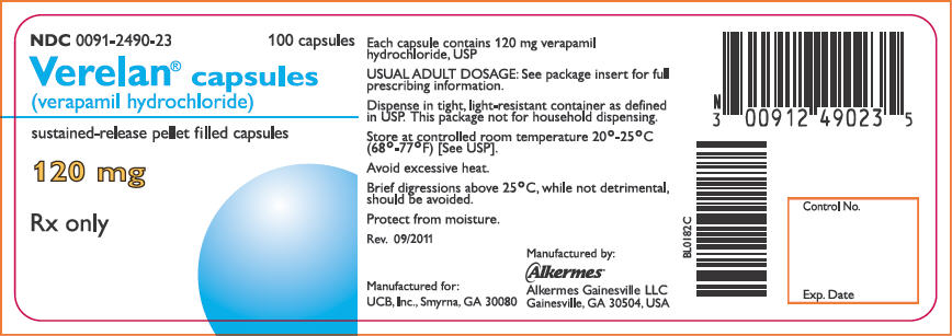 PRINCIPAL DISPLAY PANEL - 120 mg Bottle Label