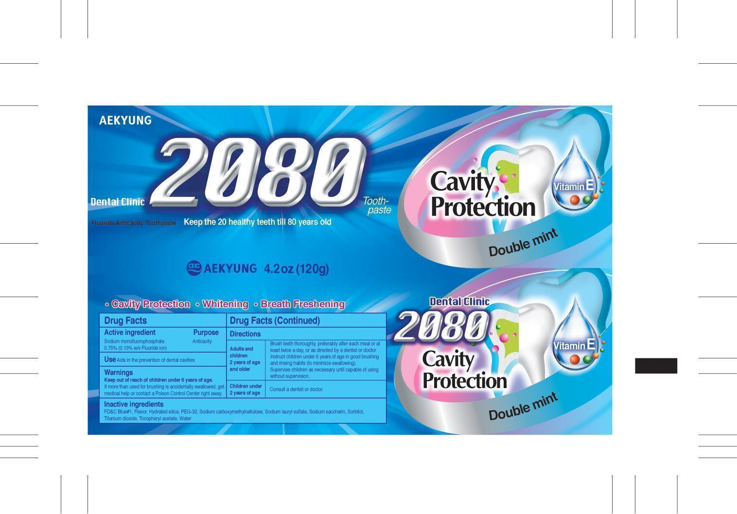 Dental Clinic 2080 Cavity Protection (Sodium Monofluorophosphate) Paste [Aekyung Ind. Co., Ltd.]