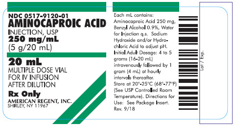 Aminocaproic Acid Injection, Solution [American Regent, Inc.]