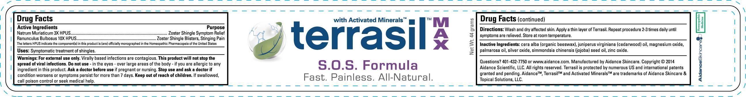 Terrasil S.o.s. Formula Maximum Strength (Natrum Muriaticum, Ranunculus Bulbosus) Ointment [Aidance Skincare & Topical Solutions, Llc]