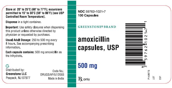 PACKAGE LABEL-PRINCIPAL DISPLAY PANEL - 500 mg (100 Capsule Bottle)