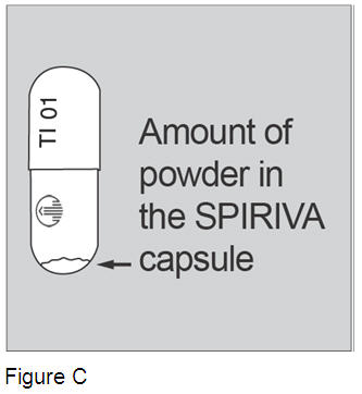 image of Figure C