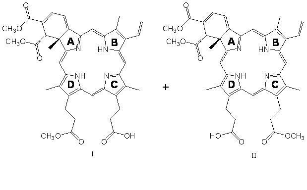 Verteporfin regioisomer structures