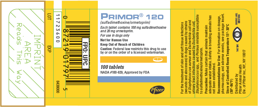 PRINCIPAL DISPLAY PANEL - 100 Tablet 120 mg Bottle Label