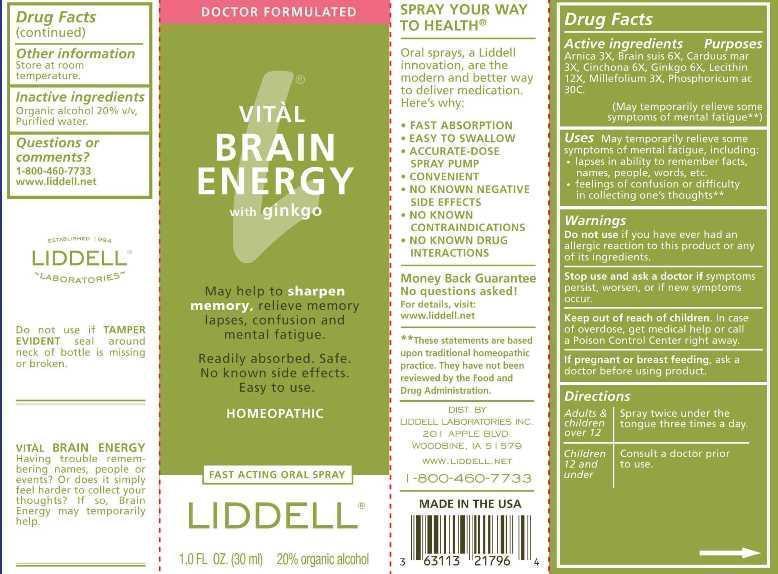Vital Brain Energy    carton