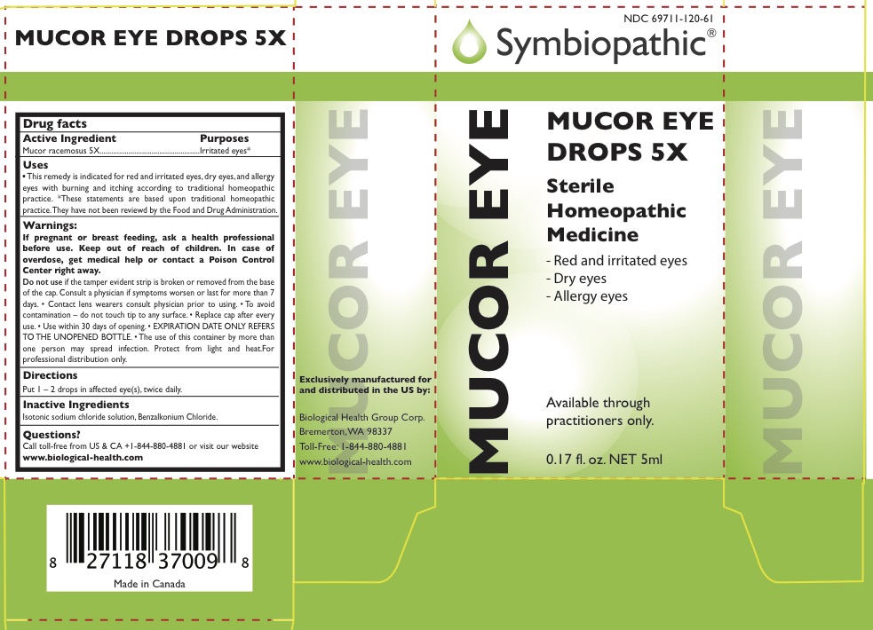 Mucor Eye Drops | Mucor Racemosus Liquid Breastfeeding