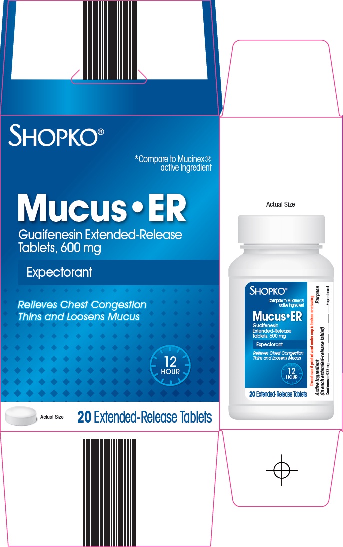 Shopko Mucus ER