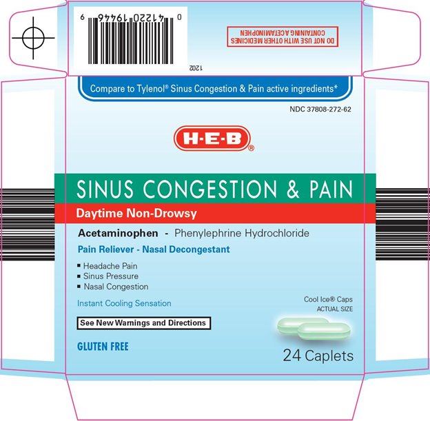 Sinus Congestion & Pain Carton Image 1