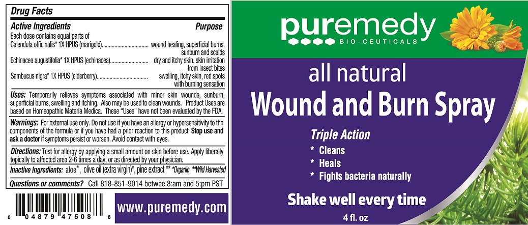 Wound Burn Spray Label - 4 oz