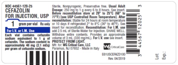 Cefazolin 1 gram vial label