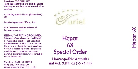 Hepar 6 Special Order Liquid Breastfeeding