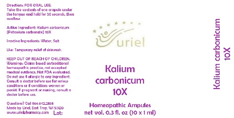 Kalium Carbonicum 10 Liquid Breastfeeding