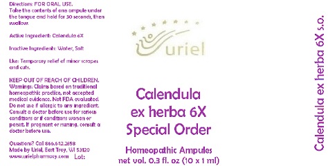 Calendula Ex Herba 6 Special Order Liquid Breastfeeding