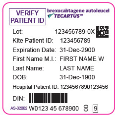 PRINCIPAL DISPLAY PANEL - 68 mL Bag Label - Patient
