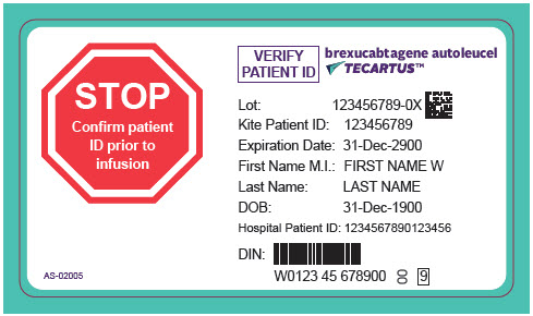 PRINCIPAL DISPLAY PANEL - 68 mL Cassette Label - Patient