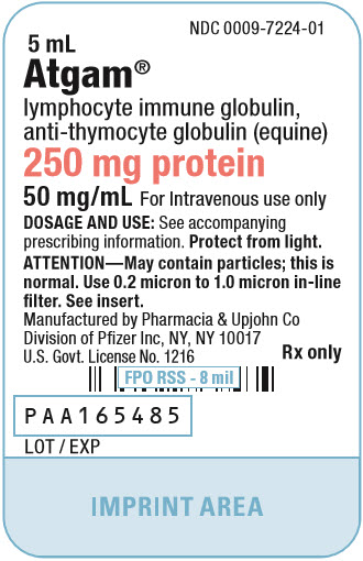 PRINCIPAL DISPLAY PANEL - 5 mL Ampule Label