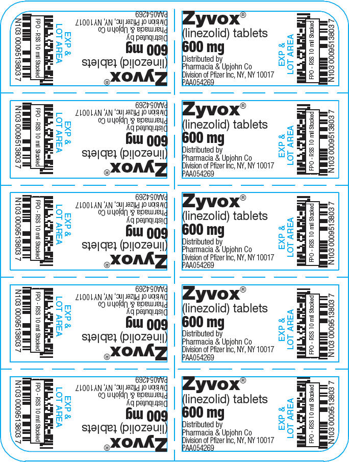 PRINCIPAL DISPLAY PANEL - 600 mg Tablet Blister Pack - NDC 0009-5138-03