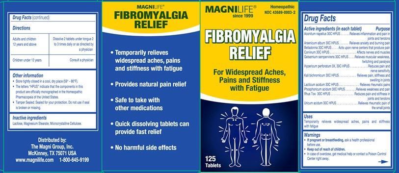 Fibromyalgia Relief
