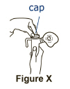Figure X