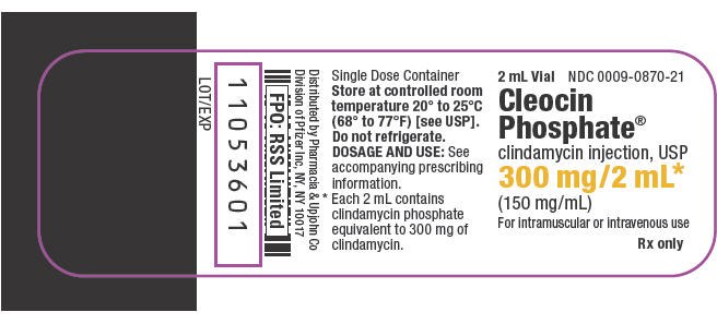 Principal Display Panel - 300 mg/2 mL Vial Label