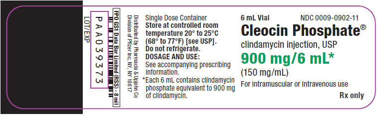 PRINCIPAL DISPLAY PANEL - 900 mg/6 mL Vial Label