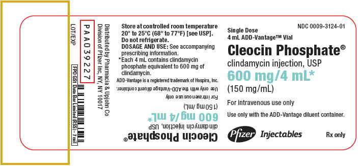 PRINCIPAL DISPLAY PANEL - 600 mg/4 mL Vial Label