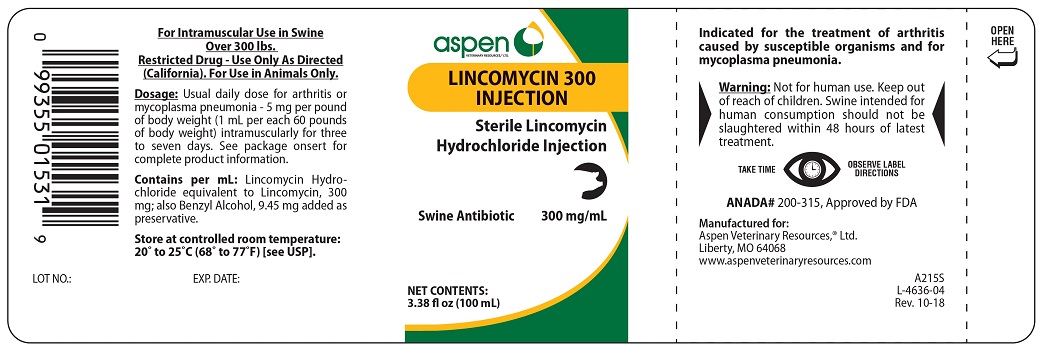 Lincomycin 300 100 mL